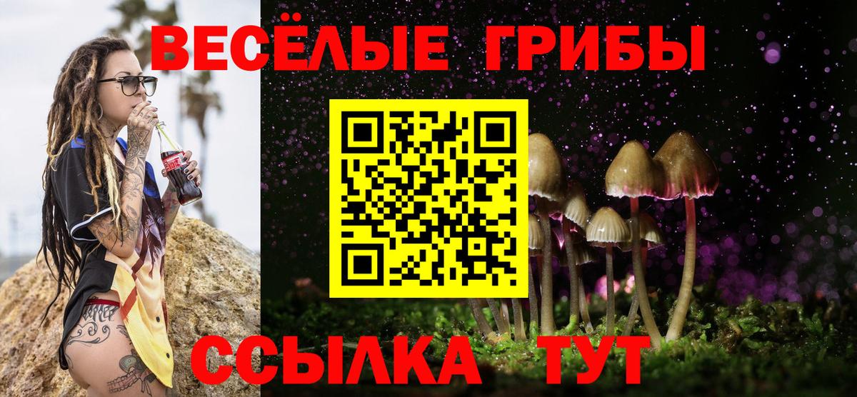 Алушта  Псилоцибиновые грибы ЛСД  Вход с VPN 