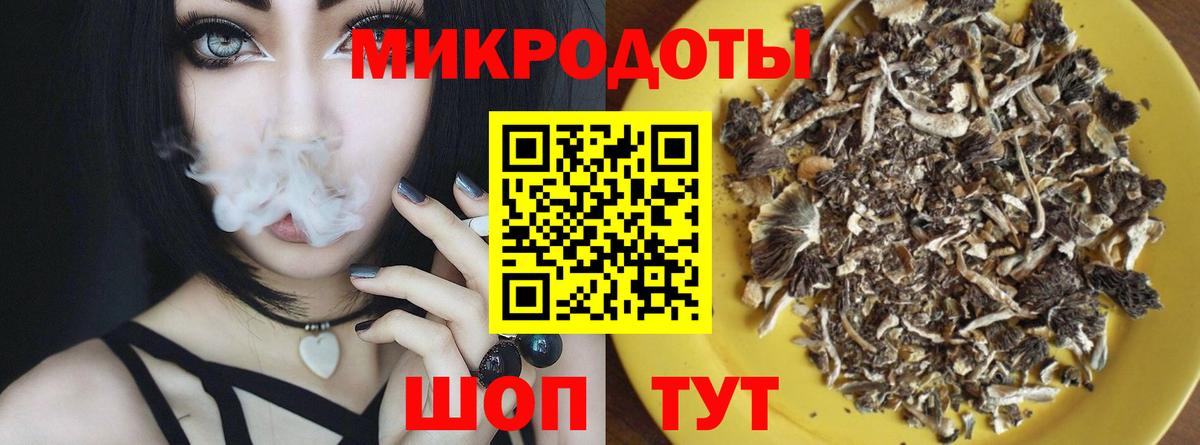 Псилоцибиновые грибы Psilocybe Алушта